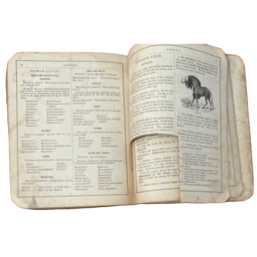 Colton's New Introductory Geography 1875 Hardback Book D. D. Merrill Damage READ - Picture 4 of 16